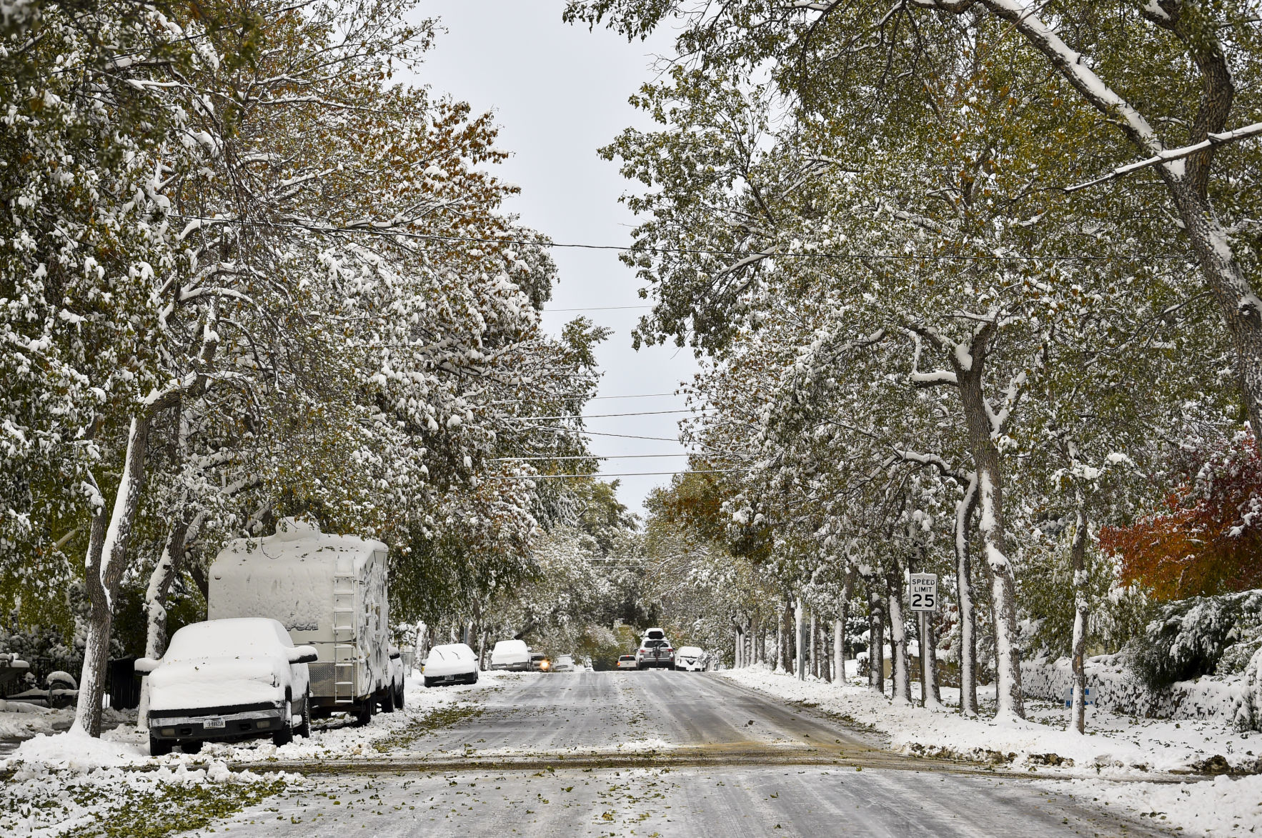 Snowstorm